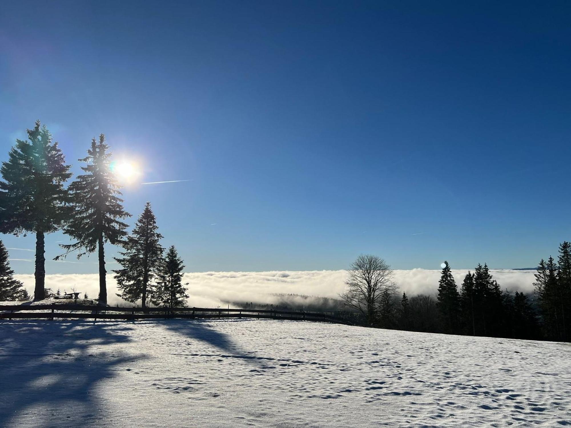 Naturfreundehaus Brend Furtwangen Exteriör bild