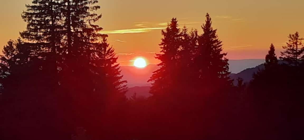 Naturfreundehaus Brend Furtwangen Exteriör bild